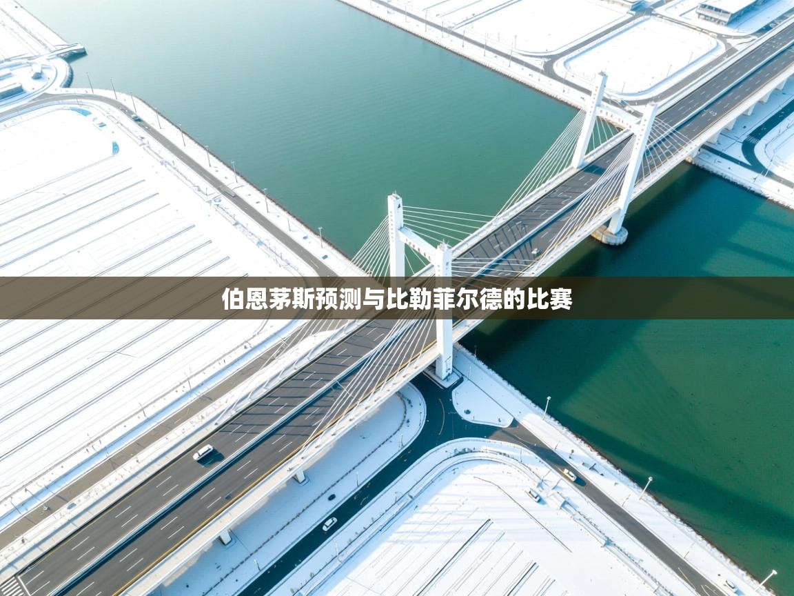 伯恩茅斯预测与比勒菲尔德的比赛  第2张