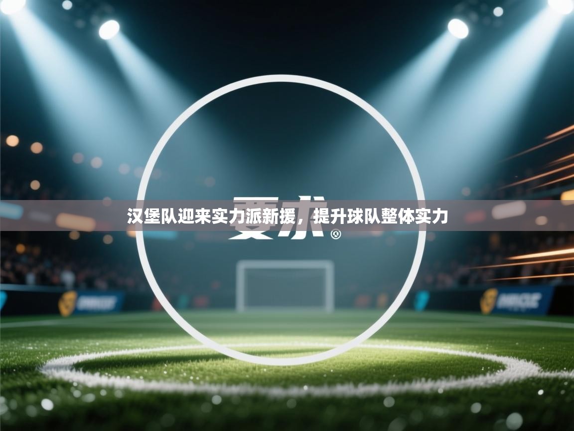 汉堡队迎来实力派新援,提升球队整体实力 第2张