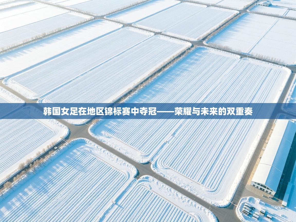 韩国女足在地区锦标赛中夺冠——荣耀与未来的双重奏  第2张