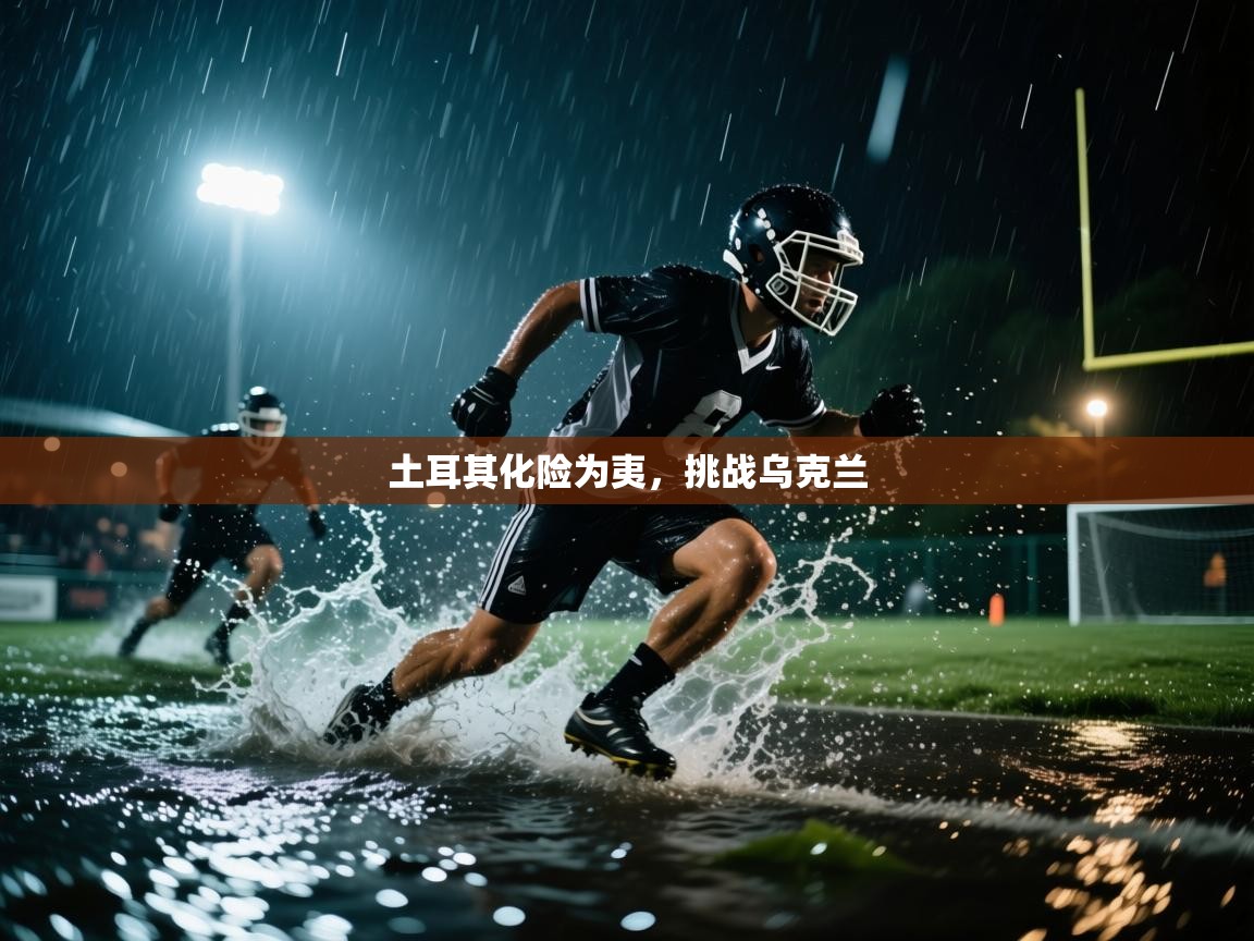 土耳其化险为夷，挑战乌克兰