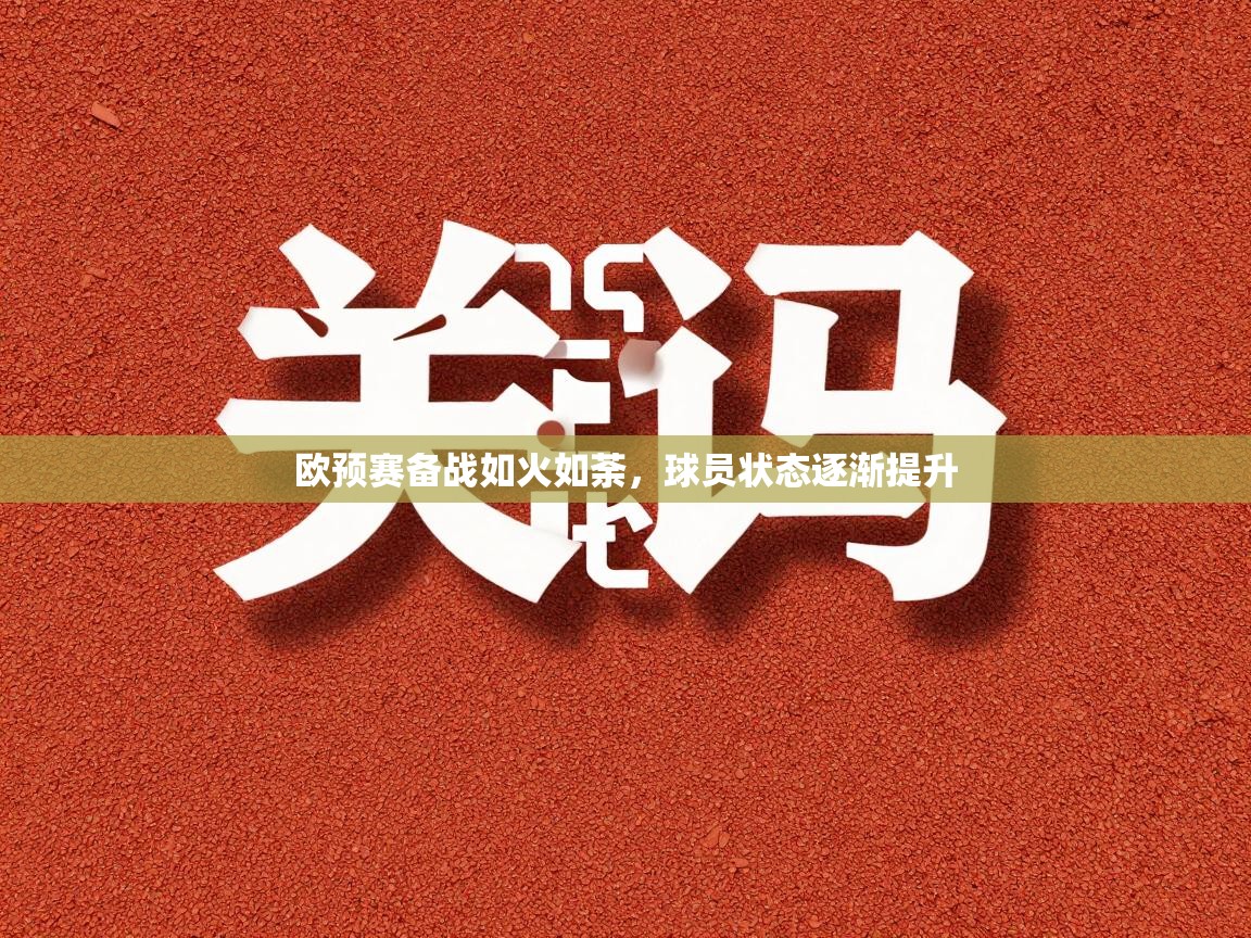 欧预赛备战如火如荼，球员状态逐渐提升