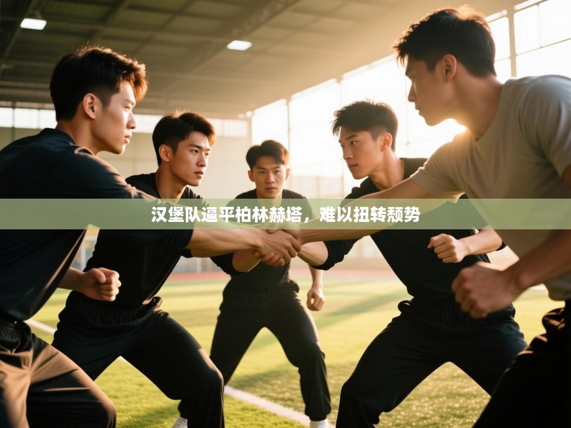 汉堡队逼平柏林赫塔,难以扭转颓势 第1张