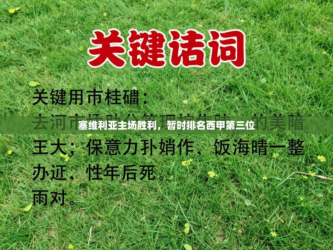 塞维利亚主场胜利,暂时排名西甲第三位 第1张