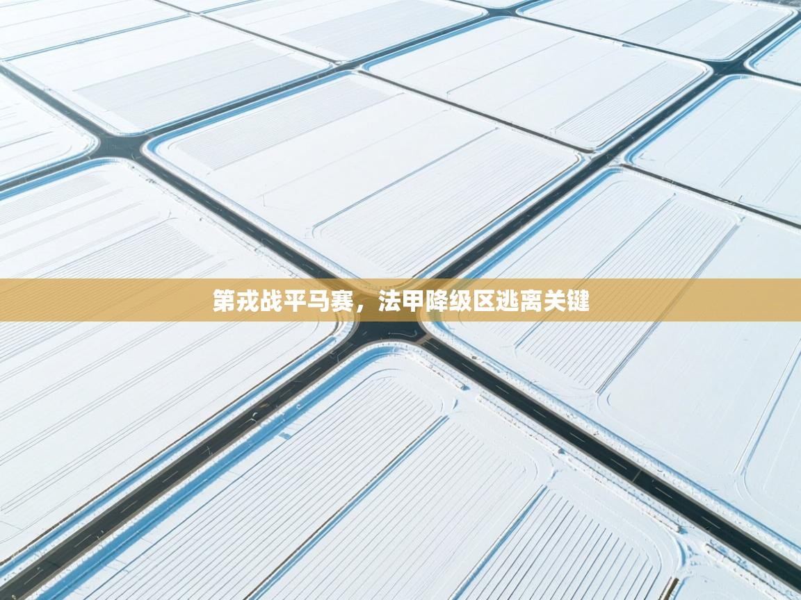 第戎战平马赛,法甲降级区逃离关键 第1张