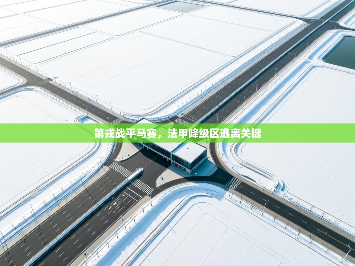 第戎战平马赛,法甲降级区逃离关键 第2张